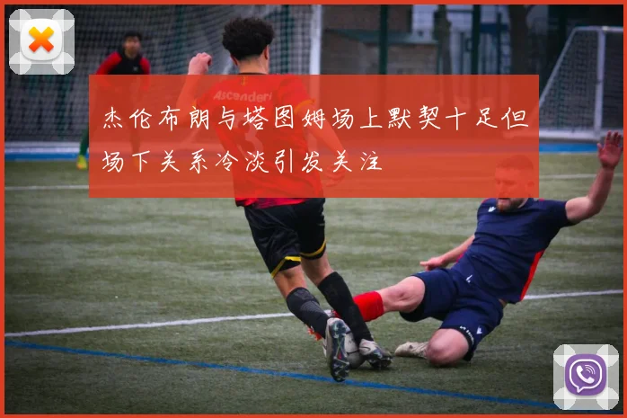 杰伦布朗与塔图姆场上默契十足但场下关系冷淡引发关注
